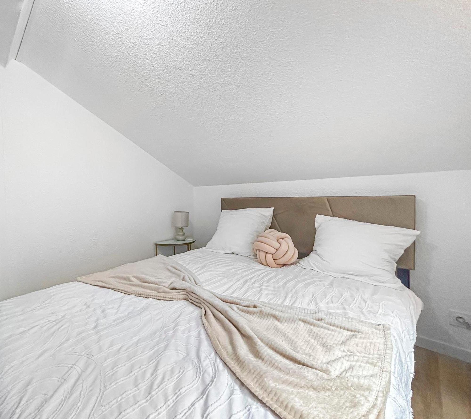 Le Toit Du Centre-ville Apartment Romans-sur-Isere